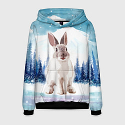 Толстовка-худи мужская Кролик в зимнем лесу, цвет: 3D-черный