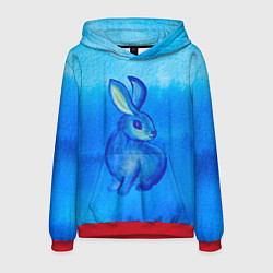 Толстовка-худи мужская Водяной кролик символ 2023, цвет: 3D-красный
