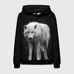 Толстовка-худи мужская Белый волк на темном фоне, цвет: 3D-черный
