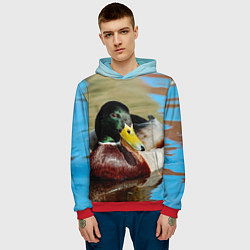 Толстовка-худи мужская Утка Кряква - селезень, цвет: 3D-красный — фото 2