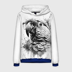 Толстовка-худи мужская Попугай ара в старинных очках, цвет: 3D-синий