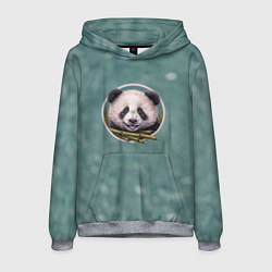 Толстовка-худи мужская Милая мордочка панды с бамбуком, цвет: 3D-меланж