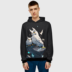 Толстовка-худи мужская Филины и магия, цвет: 3D-черный — фото 2