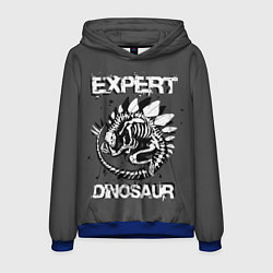 Толстовка-худи мужская Dinosaur expert, цвет: 3D-синий