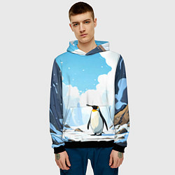 Толстовка-худи мужская Пингвин в Антарктиде, цвет: 3D-черный — фото 2