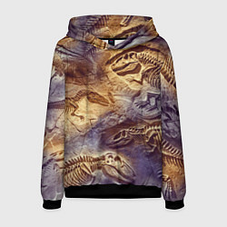 Толстовка-худи мужская Окаменелые динозавры, подарок для палеонтолога, цвет: 3D-черный
