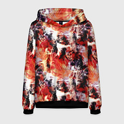 Толстовка-худи мужская Огненные перья, цвет: 3D-черный