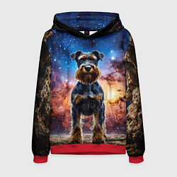 Толстовка-худи мужская Ризеншнауцер в космосе, цвет: 3D-красный