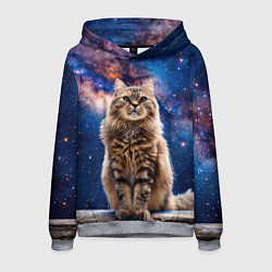 Толстовка-худи мужская Сибирская кошка в космосе, цвет: 3D-меланж