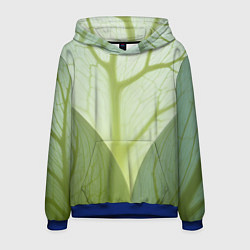 Толстовка-худи мужская Макро съемка листа, цвет: 3D-синий