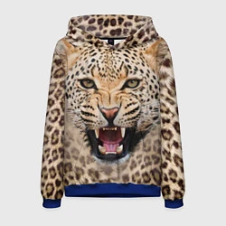 Толстовка-худи мужская Взгляд леопарда, цвет: 3D-синий