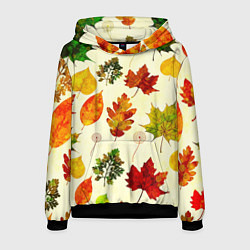 Толстовка-худи мужская Осень, цвет: 3D-черный