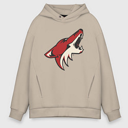 Толстовка оверсайз мужская Phoenix Coyotes, цвет: миндальный