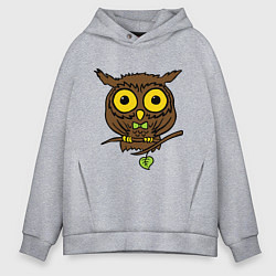 Толстовка оверсайз мужская Филин, цвет: меланж