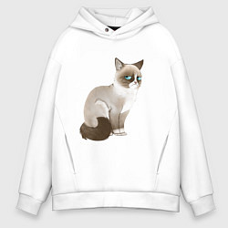 Толстовка оверсайз мужская Grumpy Cat, цвет: белый