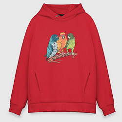 Толстовка оверсайз мужская Три волнистых попугая на ветке, цвет: красный