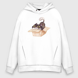 Толстовка оверсайз мужская Котик сидит в коробке, цвет: белый
