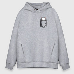 Толстовка оверсайз мужская Карманный кот мем, цвет: меланж