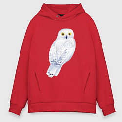 Толстовка оверсайз мужская Белая полярная сова, цвет: красный