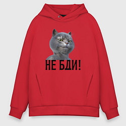 Толстовка оверсайз мужская Высокомерный кот не бди, цвет: красный