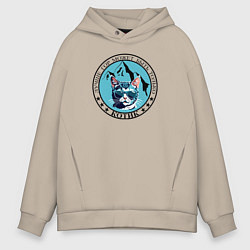 Толстовка оверсайз мужская Лучше гор может быть только котик, цвет: миндальный