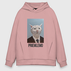 Толстовка оверсайз мужская Приемлемо - кот мем в живописи, цвет: пыльно-розовый