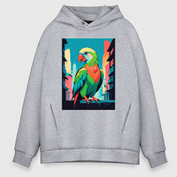 Толстовка оверсайз мужская Попугай в городе, цвет: меланж