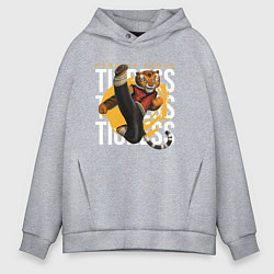 Толстовка оверсайз мужская Мастер Тигрица кунг фу панда, цвет: меланж