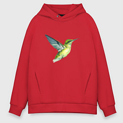 Толстовка оверсайз мужская Колибри зелёная, цвет: красный
