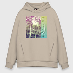Толстовка оверсайз мужская Крымский лес японскими иероглифами, цвет: миндальный