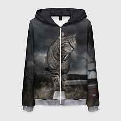 Толстовка 3D на молнии мужская Кот, цвет: 3D-меланж