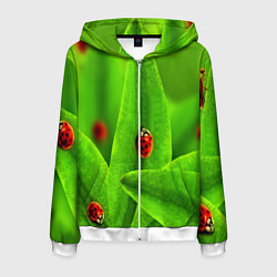 Толстовка 3D на молнии мужская Милые насекомые, цвет: 3D-белый