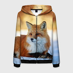 Толстовка 3D на молнии мужская Лиса, цвет: 3D-черный