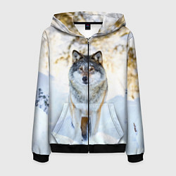 Толстовка 3D на молнии мужская Я зимой, цвет: 3D-черный