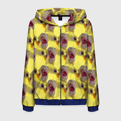 Толстовка 3D на молнии мужская Попугай Корелла Орёт Мем, цвет: 3D-синий