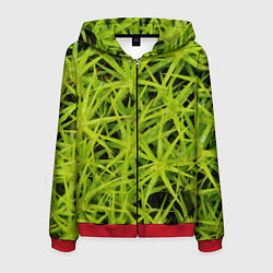 Толстовка 3D на молнии мужская Сфагнум, цвет: 3D-красный