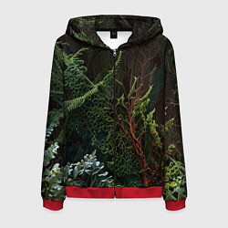 Мужская толстовка на молнии Объемные растения в лесу