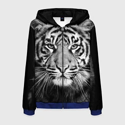 Толстовка 3D на молнии мужская Красавец тигр, цвет: 3D-синий