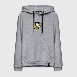 Толстовка-худи хлопковая мужская Pittsburgh Penguins: Evgeni Malkin, цвет: меланж