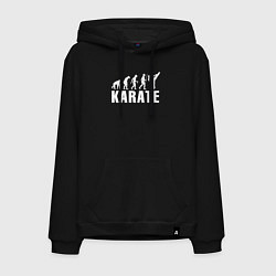 Толстовка-худи хлопковая мужская Karate Evolution, цвет: черный