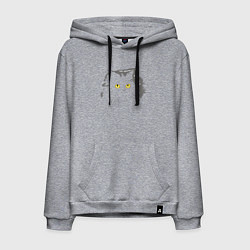 Толстовка-худи хлопковая мужская Грозовой, кошак пушистый, цвет: меланж