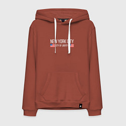 Толстовка-худи хлопковая мужская NEW YORK, цвет: кирпичный
