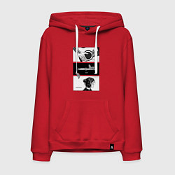 Толстовка-худи хлопковая мужская Endure and survive, цвет: красный