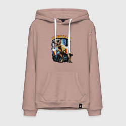 Толстовка-худи хлопковая мужская Пивозавр Динозавр с пивом, цвет: пыльно-розовый