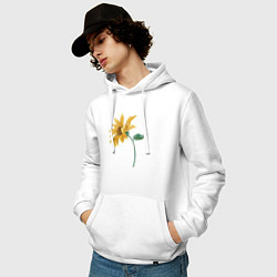 Толстовка-худи хлопковая мужская Branch With a Sunflower Подсолнух, цвет: белый — фото 2