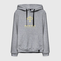 Толстовка-худи хлопковая мужская Сыны Хоруса винтаж лого, цвет: меланж