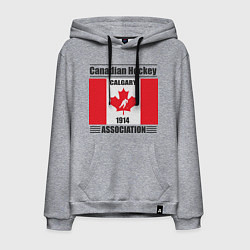 Толстовка-худи хлопковая мужская Федерация хоккея Канады, цвет: меланж