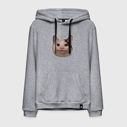 Толстовка-худи хлопковая мужская Polite cat meme, цвет: меланж