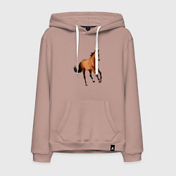 Толстовка-худи хлопковая мужская Мустанг лошадь, цвет: пыльно-розовый