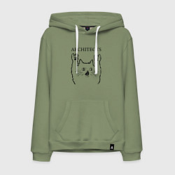 Толстовка-худи хлопковая мужская Architects - rock cat, цвет: авокадо